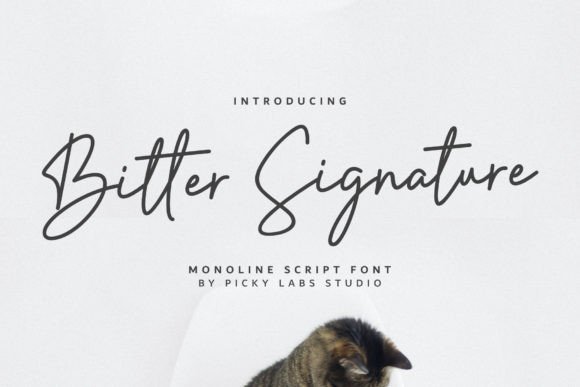 Bitter Signature Font Review for Web Designers