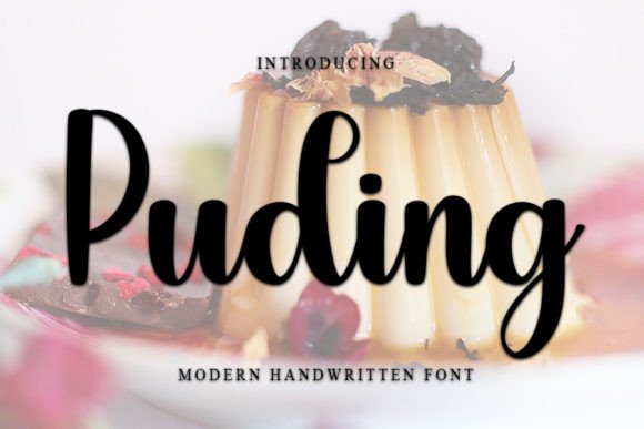 Puding: A Beautiful Handwritten Font for Business