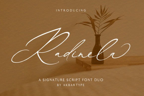Radinela: A Script Font for Modern Design