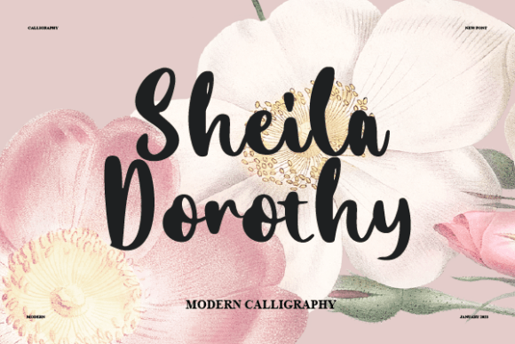 Sheila Dorothy Font: Elegant Script for Handmade Brands