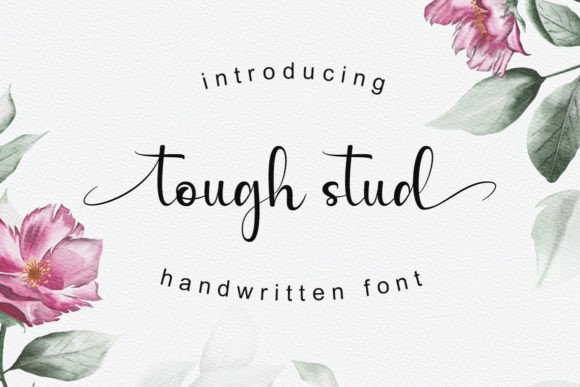 Tough Stud: A Font for Business Style